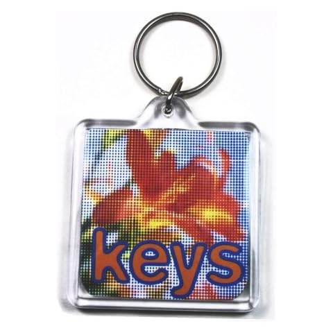 50 Large Square Blank Photo Keyrings 45 x 45 mm Insert 94312 Cover