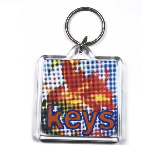 PC3721u00ae Foto cuadrada de acrílico transparente en blanco Llavero 45x45mm Insert 94312 (25 piezas)