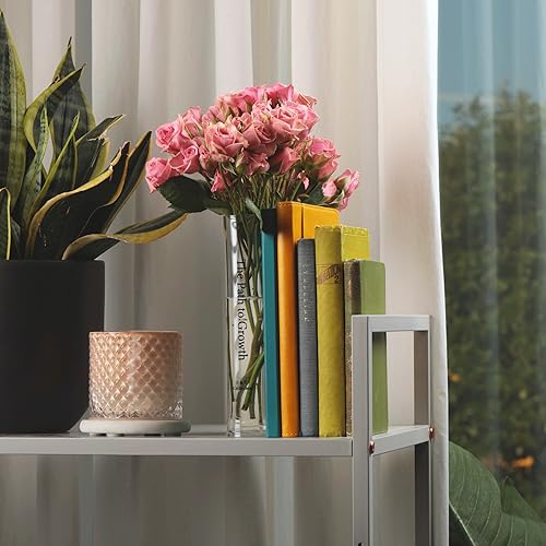 BT-Collection-Clear-Acrylic-Book-Vase-for-Flowers-wInspirational-Message–Modern-Room-Decor-Clean-Girl-Aesthetic-Vase–Book-Vase-for-Neutral-Decor–Cute-Housewarming-Gift BT Collection Clear Acrylic Book Vase for Flowers wInspirational Message–Modern Room Decor Clean Girl Aesthetic Vase–Book Vase for Neutral Decor–Cute Housewarming Gift