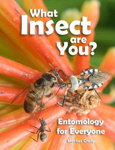 What Insect Are You?: Entomology for Everyone