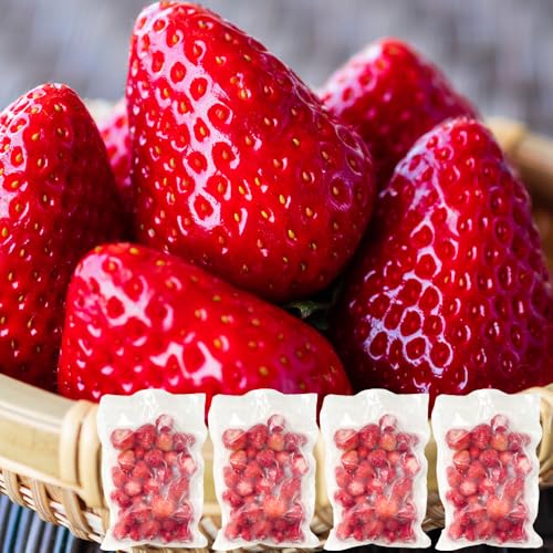 yRAKUSAIzⓀ Y F{Y ݂̂ 2kg (500g×4) (2000g) e Ɩp Ⓚ ʕ   ACX XC[c X[W[ fU[g gbsO