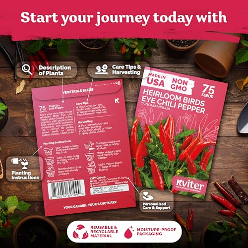 KVITER 75 Birds Eye Chili Pepper Seeds for Planting (Capsicum Annuum) — Thai Chili Red Pepper, Extra‑Hot 50K-100K SHU, High‑Yield Bush — Heirloom & Organic Vegetable Seeds for Outdoor & Indoor Garden - Image 2