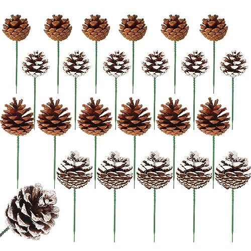 Crowye 24 Pcs Pinecones Natural Christmas Large Pine Cones 2.4''-3.1'',