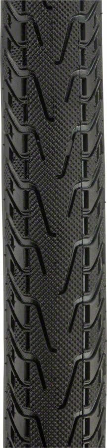 Panaracer Pasela ProTite Tire 650C x 28mm Tire Steel Black/Tan