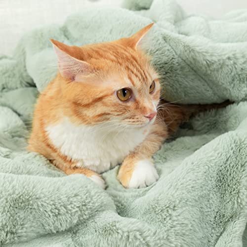 Cozy Bliss Luxury Super Soft Striped Faux Fur Throw Blanket For Couch, Size, 60"X80" Green, Extra Soft, Fluffy, Warm, Anti-Static, Plush Blanket For Sofa Bed Living Room Bedroom Car (Stripe-Green) #TOP2