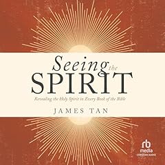 Seeing the Spirit Audiolibro Por James Tan arte de portada