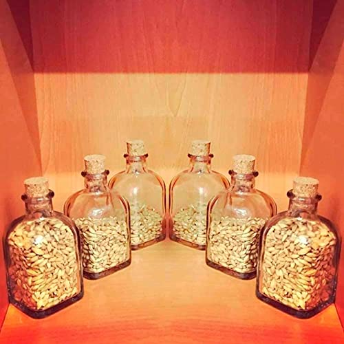 Miniatura 4 de Acan Tradineur - Pack De 7 Tapones Cónicos De Corcho Para Botellas, Garrafas, Botes, Frascos, Bar, Restaurante, Vino, Aceite, 22 X 17 X 24 Mm