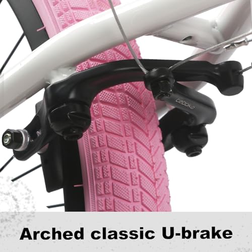 20 24 Inch Beginner BMX Bike Echo, High Tensile Steel Frame,
