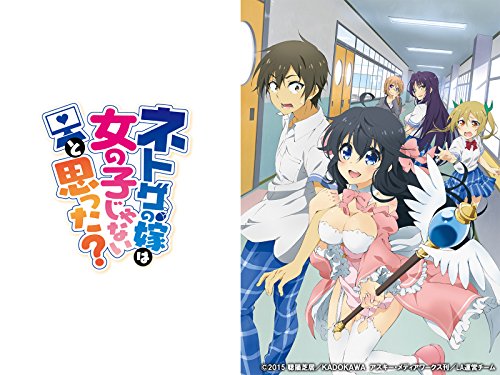 ネトゲの嫁は女の子じ