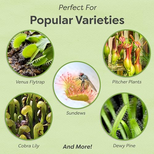 Carnivorous Plant Food Drops by Perfect Plants miniatura 2