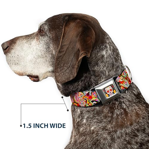 Collier de chien Buckle Down imprimé Catrinas collier réglable nylon multicolore - 8