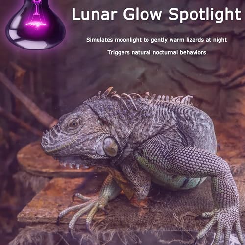 Image of 100W Reptile Moonlight Heat Lamp, Purple Night Basking Bulb | Creates a Natural Nighttime Environment, Perfect for Night Viewing of Reptiles & Amphibians, Ideal for Terrarium Habitats