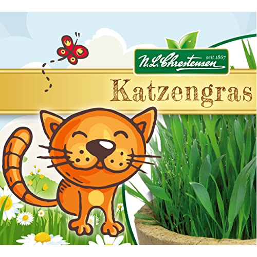 Premium Katzengras Samen Chrestensen Gartenkinder, Grassamen schnellkeimend mit Anleitung für Kinder, 1 Dose für ca. 2-2,5 m² Katzengras fertig gewachsen, Natürliche Katzen Leckerlies zu Hause