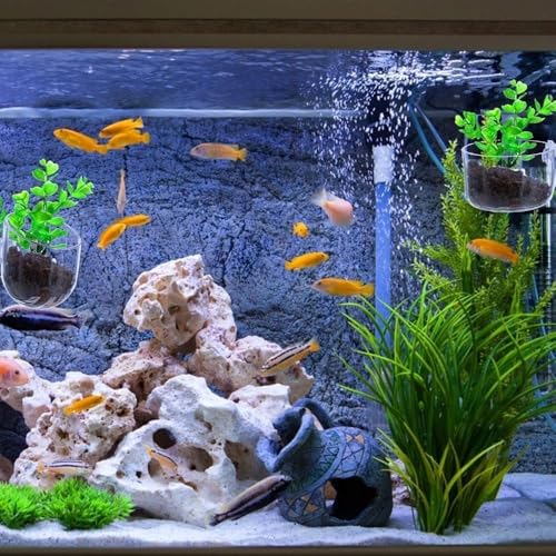 Image of 2Pcs Transparent Acrylic Aquatic Plant Cups with Suction - Aquarium Decoration 2 Shapes for Fish Tank Ornament