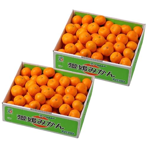 Ε ݂ Ɏ|ʂ݂ 5kg×2 Di S`3STCY JAЂߒ Y ~J  Mtg