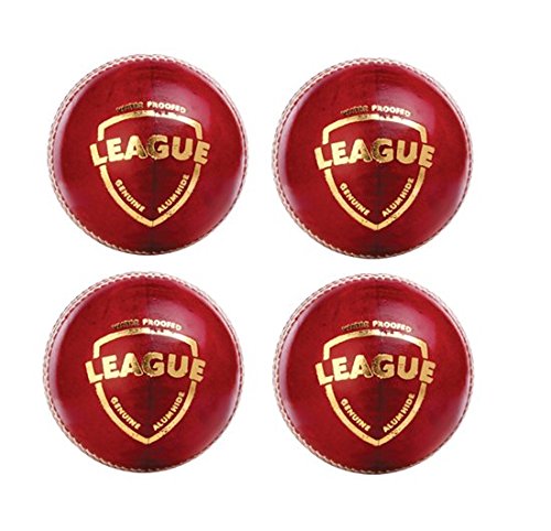 Balle de cricket cuir rouge pour entraînement club G&S SG League