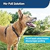 PetSafe-3-in-1-Dog-Harness-No-Pull-Solution-for-Dogs-Reflective-Dog-Harness-Front-D-Ring-Clip-Helps-Stop-Pulling-Comfortable-Padded-Straps-Top-Handle-Enhances-Control-Runs-Walks-Hikes PetSafe 3 in 1 Dog Harness