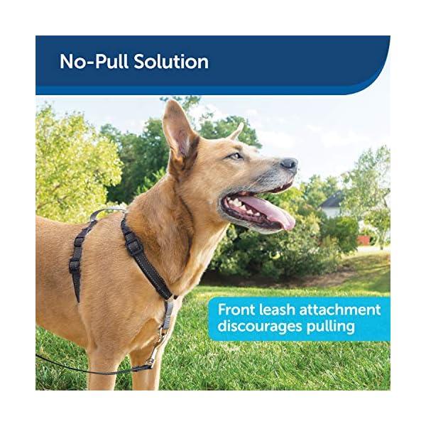 PetSafe-3-in-1-Dog-Harness-No-Pull-Solution-for-Dogs-Reflective-Dog-Harness-Front-D-Ring-Clip-Helps-Stop-Pulling-Comfortable-Padded-Straps-Top-Handle-Enhances-Control-Runs-Walks-Hikes PetSafe 3 in 1 Dog Harness