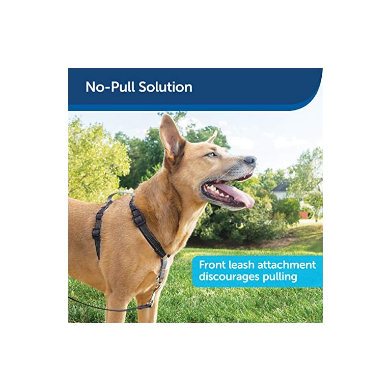 PetSafe 3 in 1 Dog Harness Buy Online