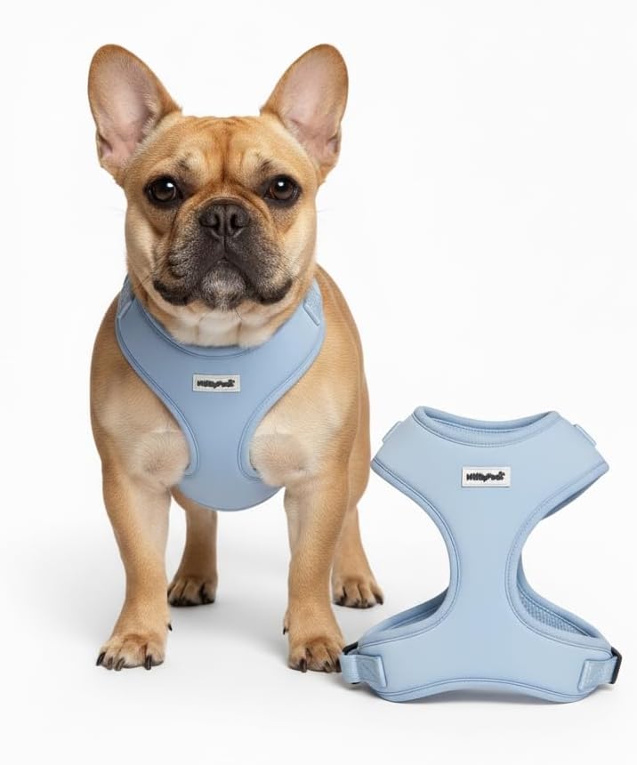 Dog Harness — Soft Adjustable Vest for Dogs & Cats, No-Pull, No-Choke, Breathable Mesh, Lightweight, Comfortable Pet Harness Solid Blue, Medium (12-22 Lb)