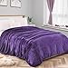 Manta Sofá Cama, 300 g/m² de Sedalina de 100% poliéster de microseda, 180x220cm, No Suelta Pelo (Morada, 180x220cm)