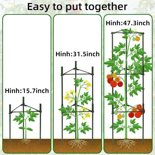 arbxvnr 3 Package up to 48in Tomato cage Garden Grid Plant Support Posts with Adjustable Tomato cage Vegetable Grid (3pack) - Thumbnail 4