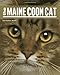 The Maine Coon Cat