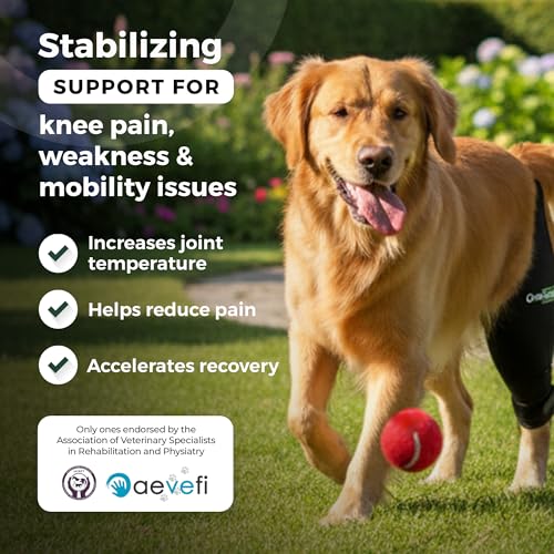 Ortocanis - Kniebandage Hund Hinterbein für das rechte Bein - Hergestellt aus Neopren ARD - Bei Kreuzbandriss, Bänderverletzungen, Patellaluxation oder Osteoarthritis - Größe Medium (11,5-12,2')