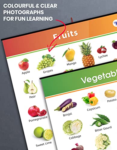 Image of All in One Charts for Kids Age 2+ Years (72 x 49.5 cm) | 8 Charts | Alphabet, Numbers, Animals, Birds & Good Habits | Education Wall Posters with Pictures for Preschool & Nursery | Water Resistant