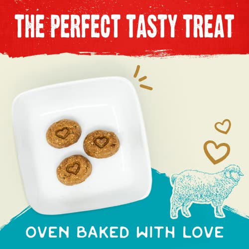 Stella & Chewy’s Freeze-Dried Raw Coated Dog Biscuits – Grass-Fed Lamb Recipe – Protein Rich, Grain Free Dog & Puppy Treat – Great Snack for Training & Rewarding – 9 oz Bag Stella & Chewy’s Freeze-Dried Raw Coated Dog Biscuits – Grass-Fed Lamb Recipe – Protein Rich, Grain Free Dog & Puppy Treat – Great Snack for Training & Rewarding – 9 oz Bag