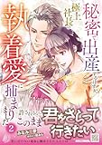 秘密で出産するはずが、極上社長の執着愛に捕まりました2 (マーマレードコミックス)