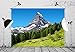 BELECO 7x5ft Fabric Swiss Alps Backdrop Snowy Mountain Green Forest Trees and The Matterhorn Peak in Pennine Alps, Switzerland Background for Party Decorations Stuido Booth Shoot Photo Props