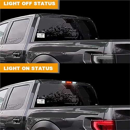 3e feu stop Ford Raptor 2016 pour remplacer un éclairage arrière défectueux - 7