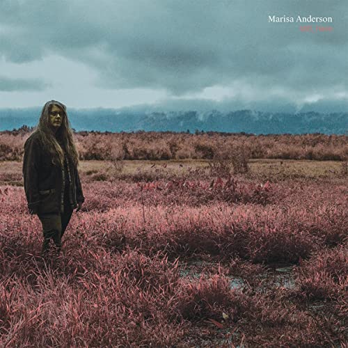 Album art for Still, Here by Marisa Anderson