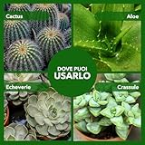 Bionee B0FXMXG9VJ lato 3