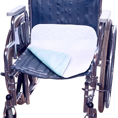 Ultra Waterproof Washable Chair Pad Cover (20 X 22 Inch) For Incontinence - Adult, Children, Or Pet Underpad Seat Protection - Soft Triple Layer Design, 24 Ounce Absorbency By Brightcare Direct #TOP4