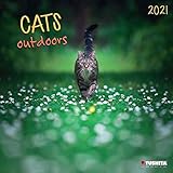  Cats Outdoors 2021: Kalender 2021 (Wonderful World)