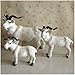 Modèle Animal Simulé Simulation Modèle De Chèvre Modèle Animal De Ferme Sauvage Modèle Réaliste en Peluche Animal Figurine Jouet pour La Décoration De La Maison Décor De Bureau Enfants Jouet Cadeau