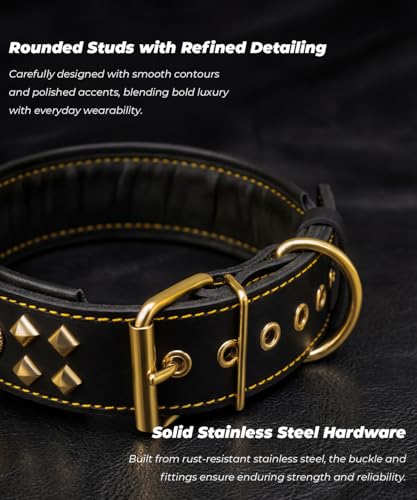 Collier pour chien en cuir pour balades urbaines et éducation M - 5
