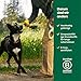 Earth Rated Hundeball, EIN interaktiver Apportierball für alle Rassen in verschiedenen Größen, aus Naturgummi, das perfekte Spielzeug für drinnen und draußen, klein, gelb