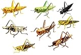 Grasshopper Flies - Lifelike Hopper Fishing Flies - Set of 8 - Tan, Yellow, Green, Gray, Brown, Yellow/Black, Black Cricket (Assorted, Size 8)