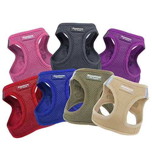 Downtown Pet Supply - Dog Harness for Small Dogs No-Pull - Step in Dog Harness - Padded Mesh Fabric Dog Vest with… - Image 3