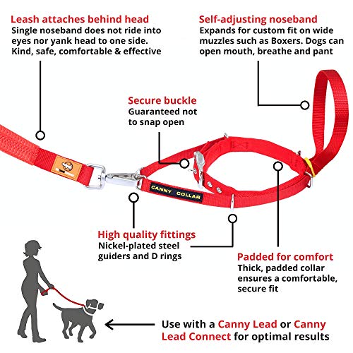 Canny Collar Dog Head Collar, No Pull Leash Training Head Harness, Easy To Fit Halter That Stops Pulling, Comfortable & Calm Control With Padded Collar, Kind To Your Dog, Enjoy Gentle Walks With Small, Medium Or Large Dogs, Black, Blue, Purple & Red #TOP2