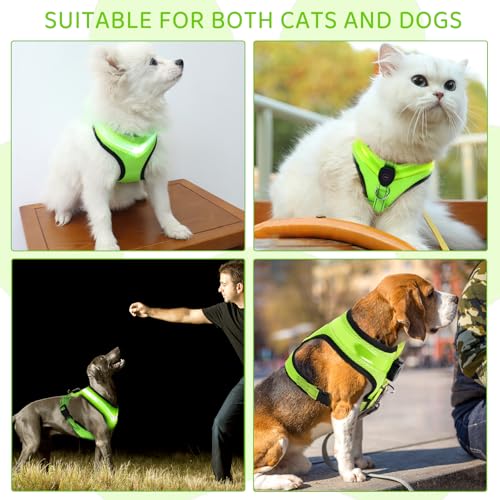 Fancysky Hundegeschirr Leuchtend Aufladbar Wiederaufladbarkeit, LED Leuchtgeschirr für Hunde, Atmungsaktive Hundegeschirre für Kleine und mittlere Hunde (M)