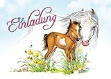 Edition Colibri