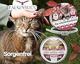 Falkenblick® Das Zeckenhalsband für Katzen 100% Pflanzliches Premium Öl Wirkungsvoller Schutz gegen Zecken Flöhe Mücken Läuse Ungeziefer Lavendel Zitroneneukalyptus - 8 Monate Wirkungsdauer