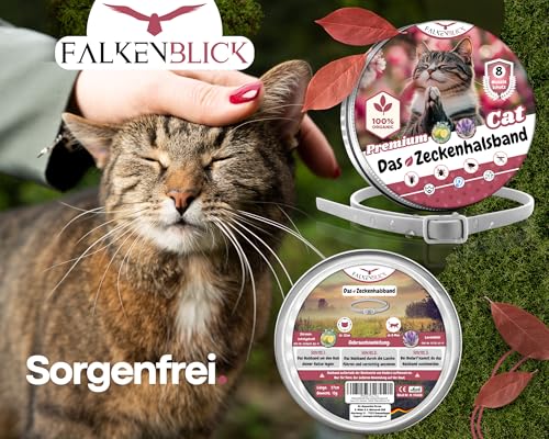 Falkenblick® Das Zeckenhalsband für Katzen 100% Pflanzliches Premium Öl Wirkungsvoller Schutz gegen Zecken Flöhe Mücken Läuse Ungeziefer Lavendel Zitroneneukalyptus - 8 Monate Wirkungsdauer