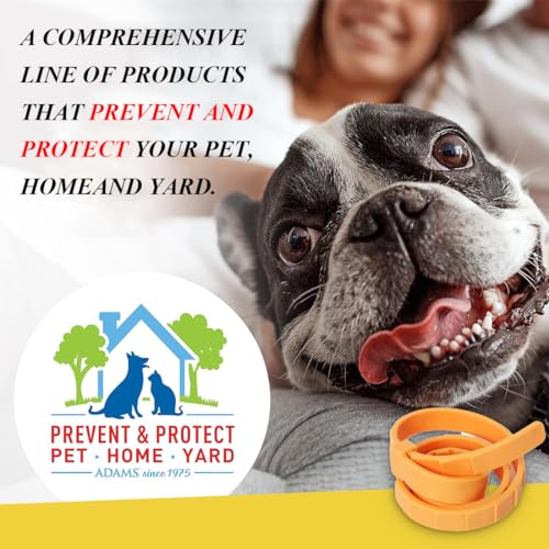 XBFOCNH 1 PCS Verstellbar Zecken- & Flohschutz Halsband Hund, Floh und Zeckenhalsband für Hunde Natürlicher Zeckenschutz, Länge: 63cm,für kleine, mittlere und große Haustiere