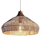 【Matériaux naturels】 : Fabriquée en rotin véritable, cette lampe de plafond écologique est résistante à la chaleur et à la décoloration, garantissant durabilité et sécurité. Son design élégant apporte une touche d'élégance à tout espace.