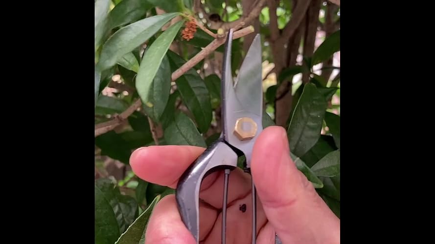 tks】片手葉刈兼用根切鋏(金止) No.3221 tks】片手葉刈